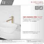 STYLISH B-123G CAROL Bathroom Vessel Sink Faucet - Image 8