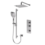 TENZO DET42-20111 EXTENZA 2 functions shower kit Delano