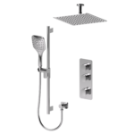 TENZO DET42-21132 EXTENZA 2 functions shower kit Delano