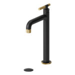TENZO SIGNATURE BE11H-F-P-XX Tall single hole lavatory faucet with drain