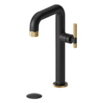 TENZO SIGNATURE BE10H-F-P-XX Tall single hole lavatory faucet with drain