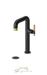TENZO SIGNATURE BE10H-F-P-XX Tall single hole lavatory faucet with drain