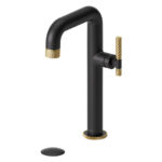 TENZO SIGNATURE BE10H-C-P-XX Tall single hole lavatory faucet with drain