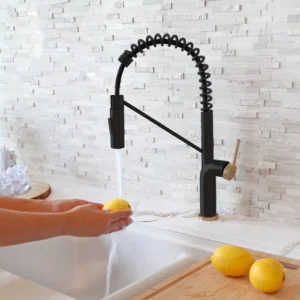 STYLISH K-149NG TIVOLI Single Handle Kitchen Faucet