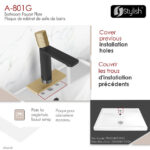 STYLISH A-801G BATH FAUCET PLATE - Image 3