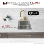 STYLISH A-803G BATH FAUCET PLATE - Image 3