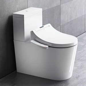 toilet-washlet-combination