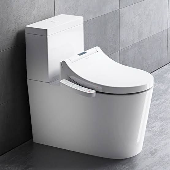 toilet-washlet-combination