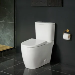 Grohe Essence 39674 Two-Piece Elongated Dual Flush Toilet