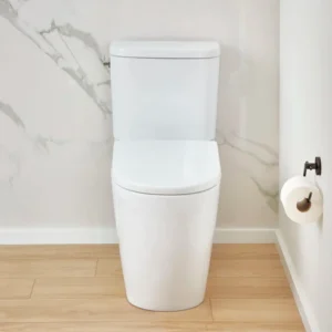 Grohe Essence 39675 Two-Piece Elongated Single Flush Toilet