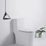 Kodaen T-6636 One Piece Regular Toilet