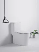 Kodaen T-6636 One Piece Regular Toilet