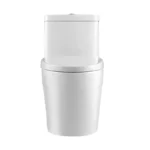 Neptune Zen 4.1/6L Dual Flush Elongated One-Piece Toilet in White - Image 5
